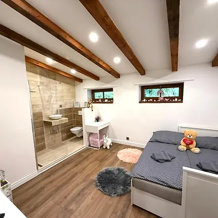 Horský Dům Pod Přehradou U Sjezdovky A Potůčka V Horách Casa vacanze *